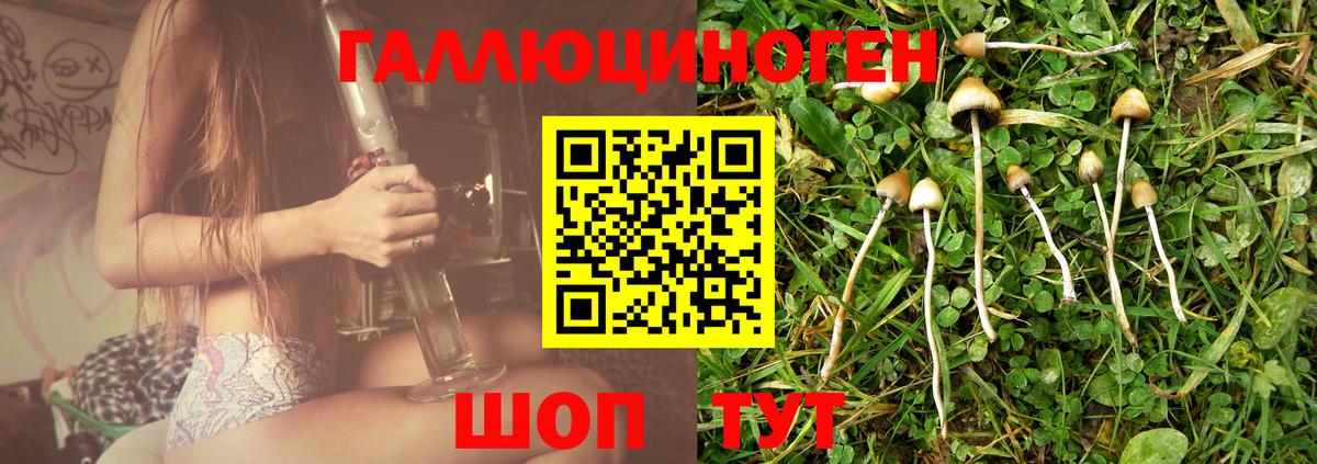 Галлюциногенные грибы ЛСД Богданович